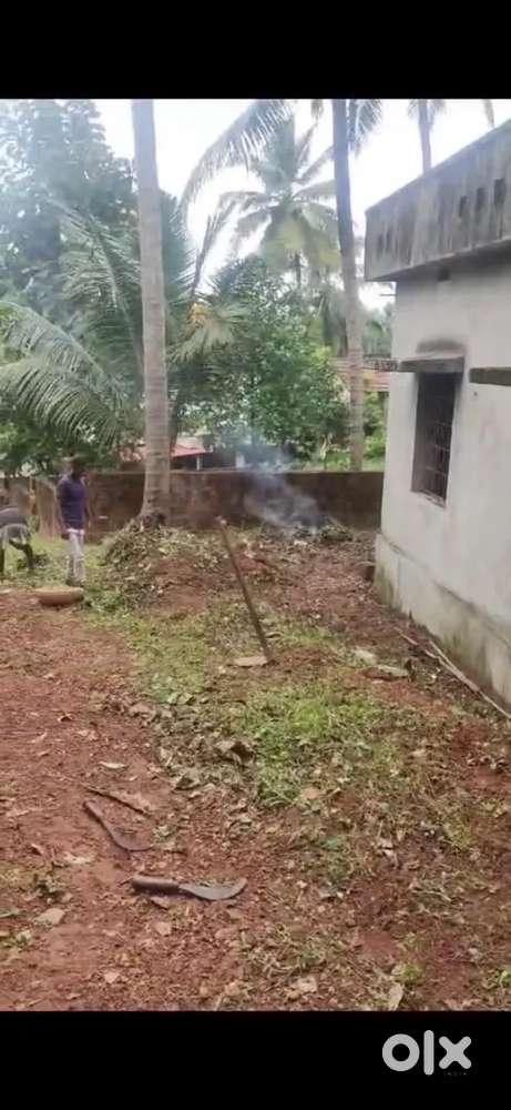 Commercial land available statbank near 37 cents 58 lakh negotiable