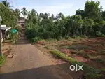 വീട് പണിയാൻ അനുയോജ്യമായ 36 സെന്റ് പ്ലോട്ട്