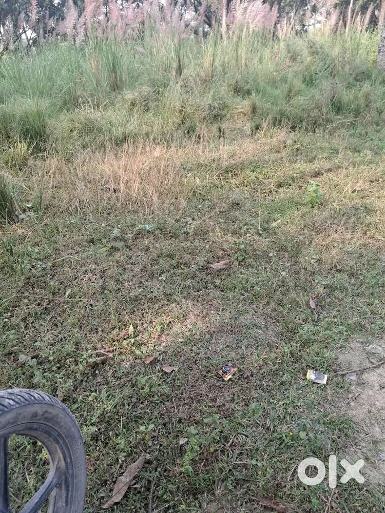 Sasta Jamin 12 feet road pe