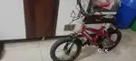 Bicycle and electric bike for sale