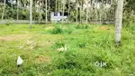 A Road frontage Plot near Technopark, Karyavattom