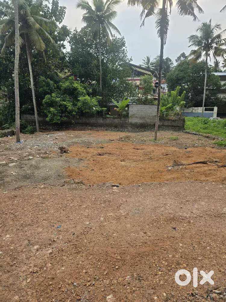 10CENT HOUSE PLOT KARIYAVATTOM PULLANIVILA