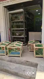Bird cage available