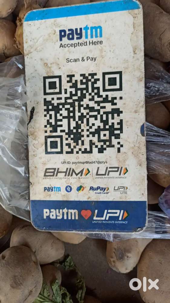 Indian and chinese cook