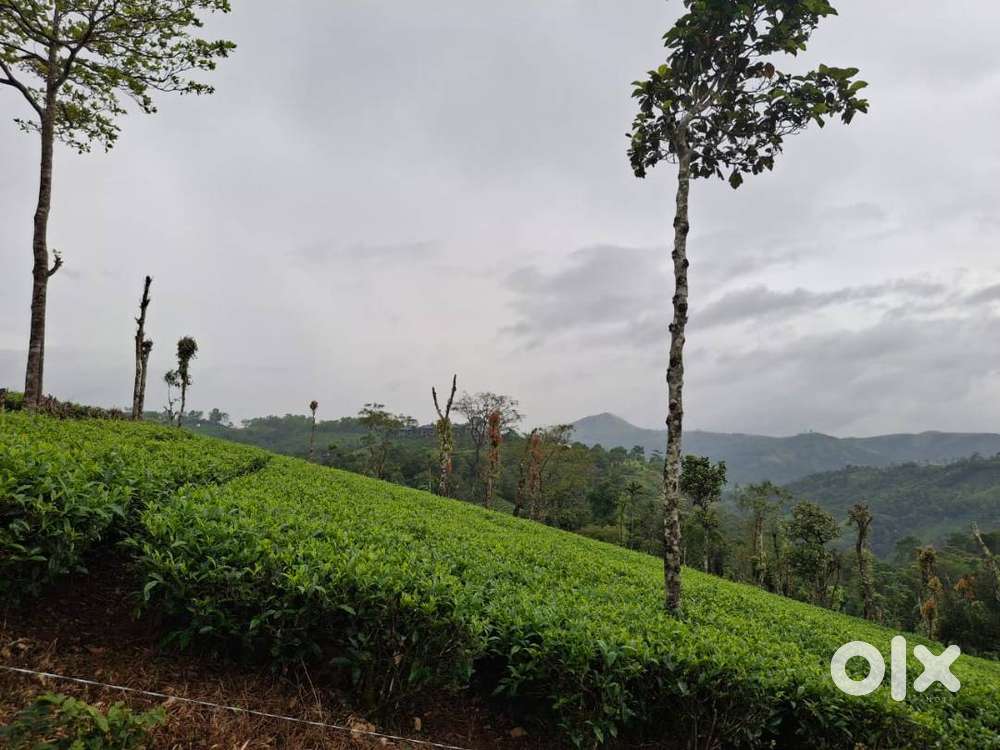 12 cent for sale near vagamon township