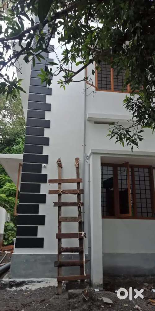Dream villa construction