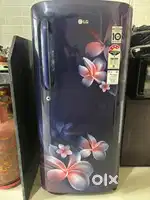 LG Inverter Fridge