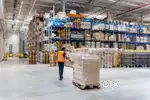 LOOKING CANDIDATES FOR WAREHOUSE JOBS