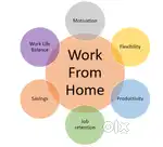 Telecaller and Data Entry job profile available for work from home