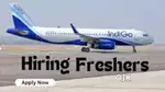 Indigo Airlines jobs /Vacancy for Airport Ground staf / Driver / Crew