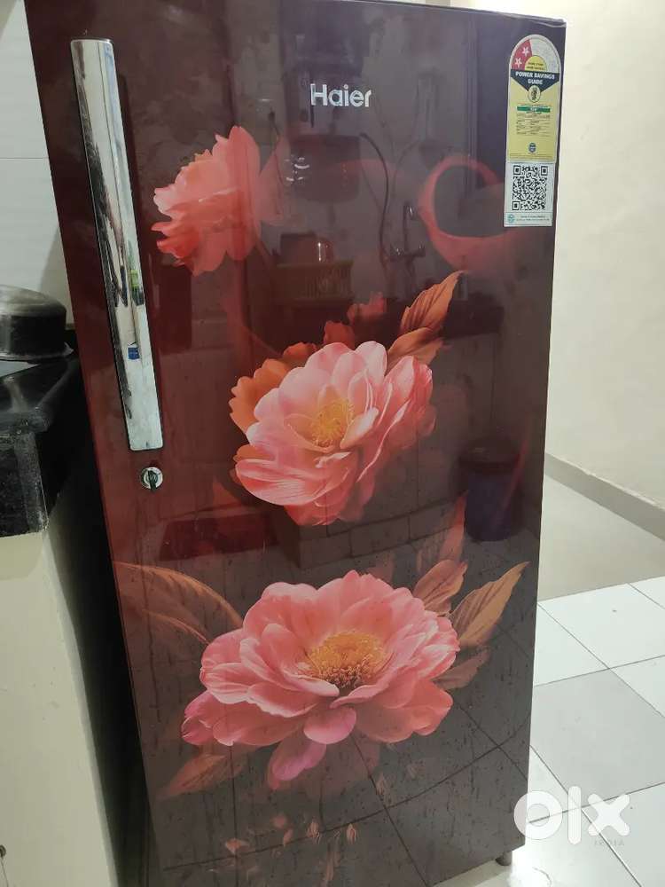 Haier 190 litres Single Door Refrigerator