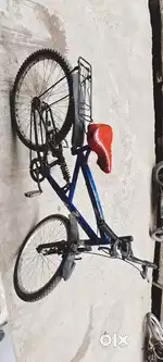 MODERN BRAND Bicycle