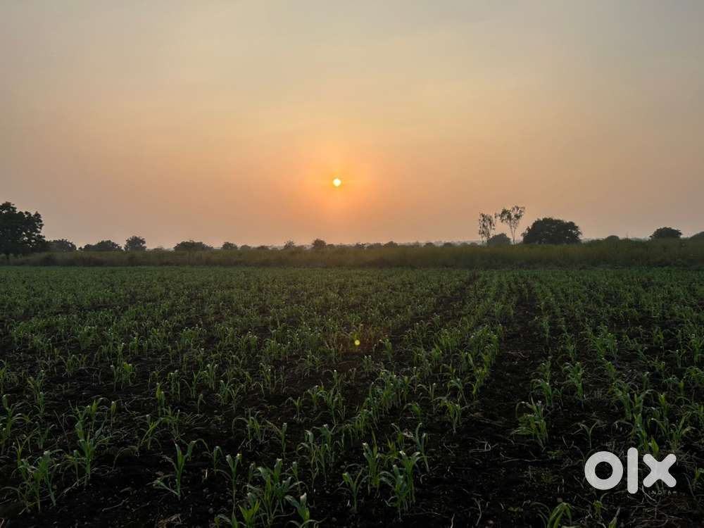 Agriculture land for sale