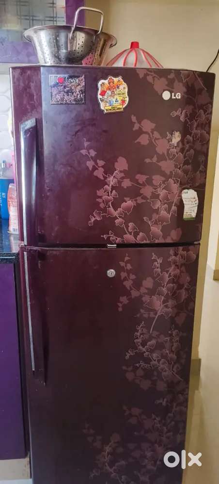 Fridge LG Double door