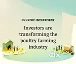 Investor Opportunity in Profitable Poultry Farm Business  Description