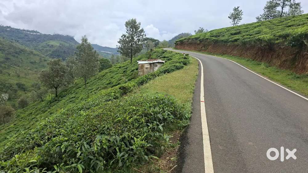 120 acre Tea estate for sale. 19km from coonoor.