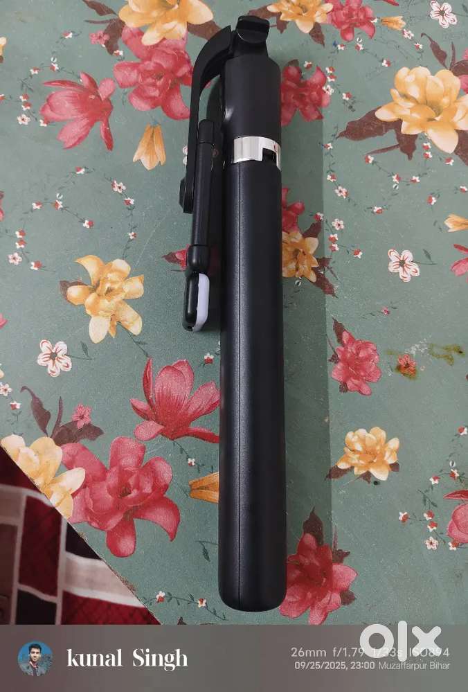 Selfie stick
