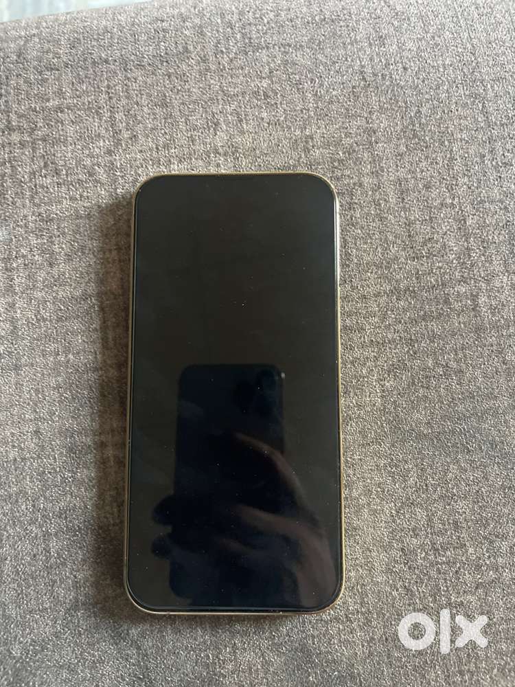 13 pro max 256gb golden colour