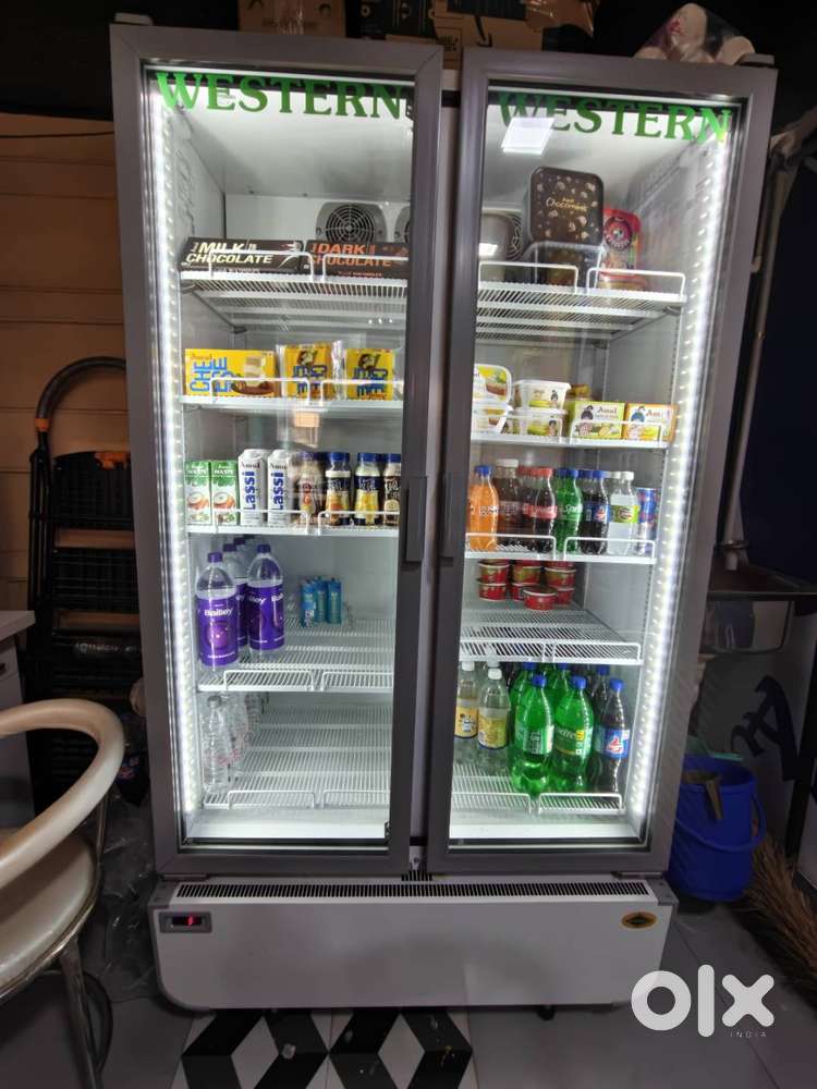 810 HC doouble door vissi cooler.