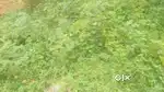 6cent plot near kanjikuzhy panchayath office cherthala