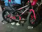 Okay Hai Koi Kami nahin hai isliye bech raha hun दो-तीन cycle hai