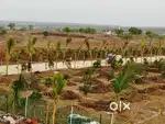 2,00,000/- for Farmland plots