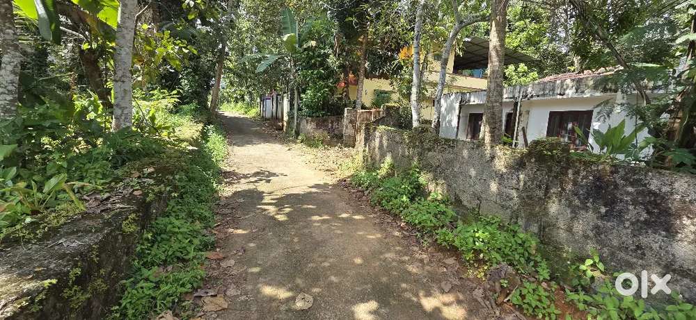 vennikulam vaalakuzhi near 18 cent house plot for sale