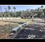 Angamaly - Puliyanam