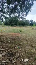 32 ank east face plot for sale near birla school, thondawada