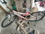 My favourite cycle