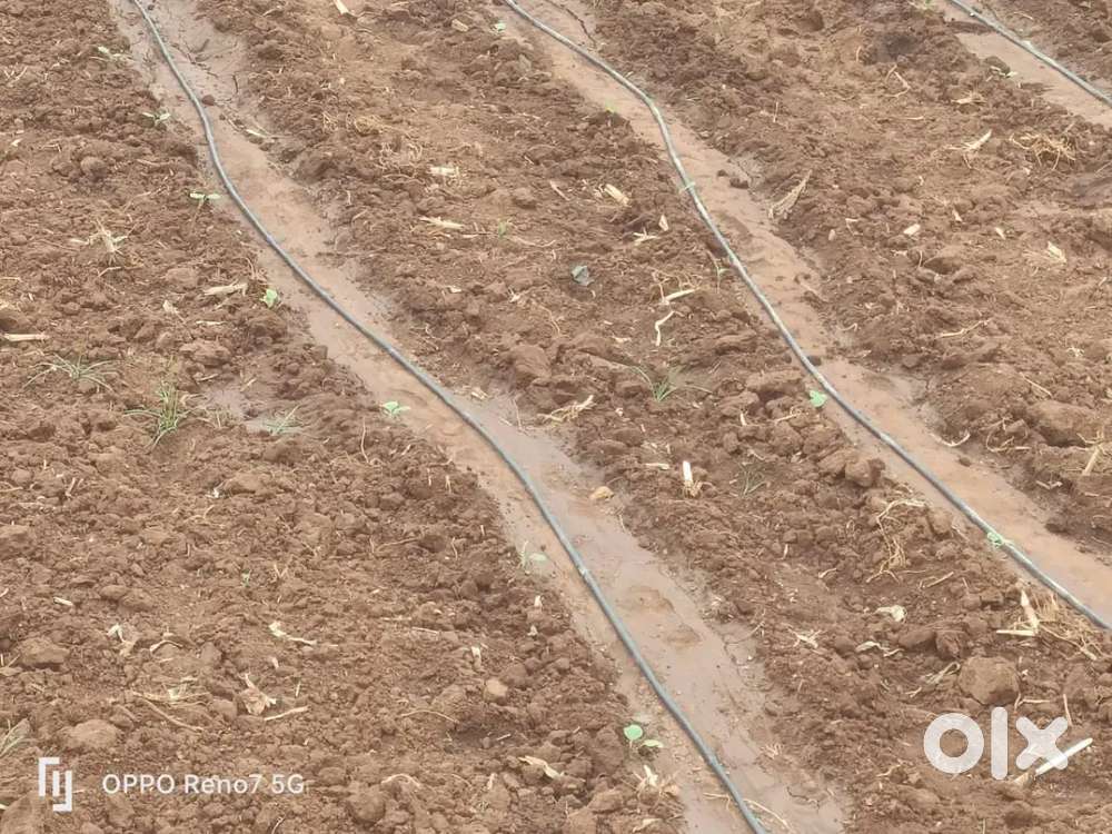 Mysore ನಂಜನಗೂಡು