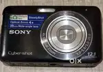 Sony Cyber shot 12.1 camera