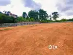ORIGINAL LAND FOR SALE 47,10,6.5 CENT KAKKANAD INFOPARK 4 KMS THENGOD