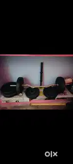 Gym Dumbal