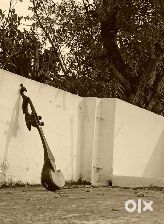 Learn Dotara(Online classes are also avilable)