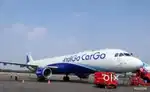 Ground staff jobs huge vacancy open in indigo Airlines urgent hiring