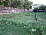 Sarnath ganj buddh Nagar museum se 250 mtr