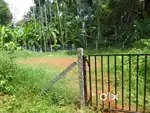 Plot selling