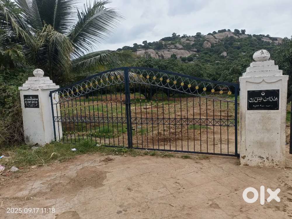 20 Acres Mango Farm Rayakottai 1.5crore per acre