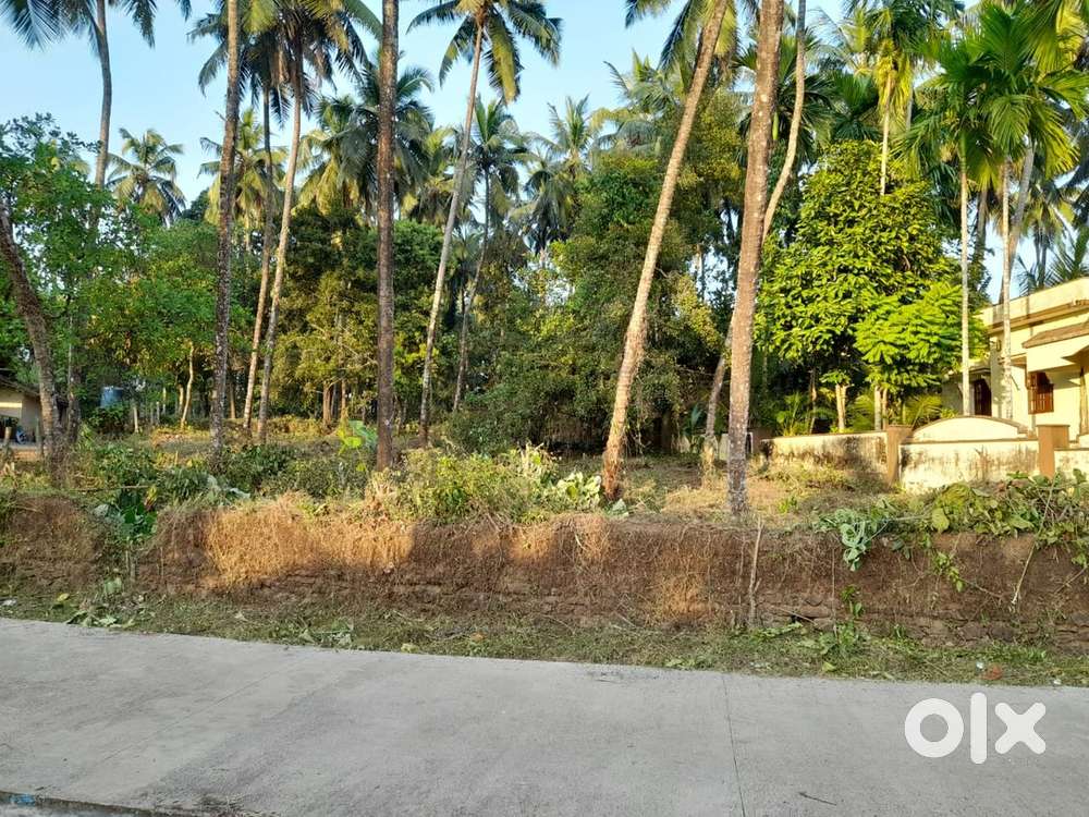 41 cents with 2bhk house trees well