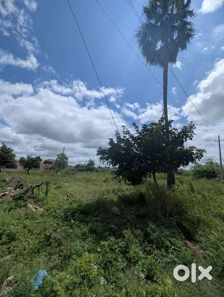 Residential plot for sale in KHB -Kudligi town