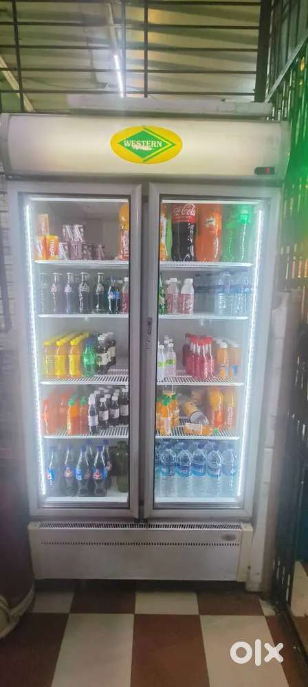 Double Door Fridge Commercial Use