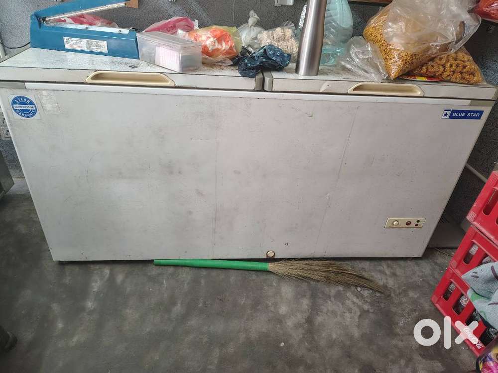 Blue star double door fridge