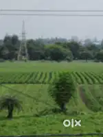 Jameen bechna h
