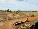 Corner plot sale in khutala price negotiable