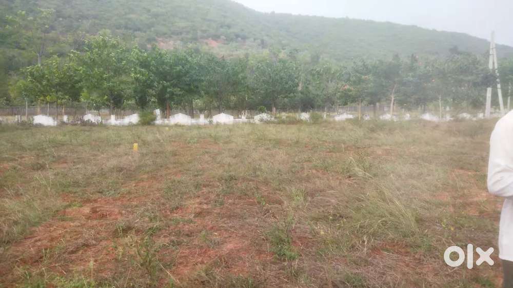 Plot for sale, bhogapuram