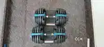 Adjustable Dumbbells + Adjustable Bench