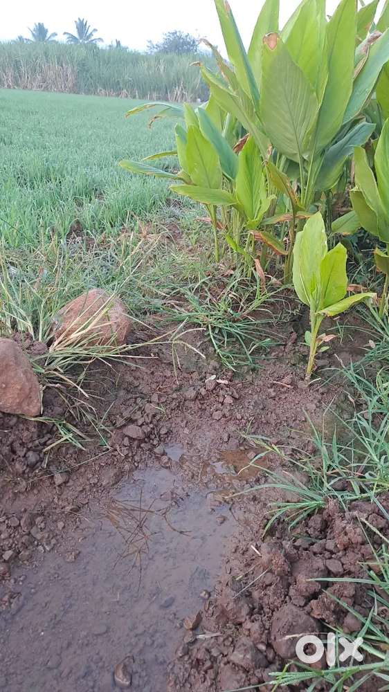 Khb sury nagara 3rd phase