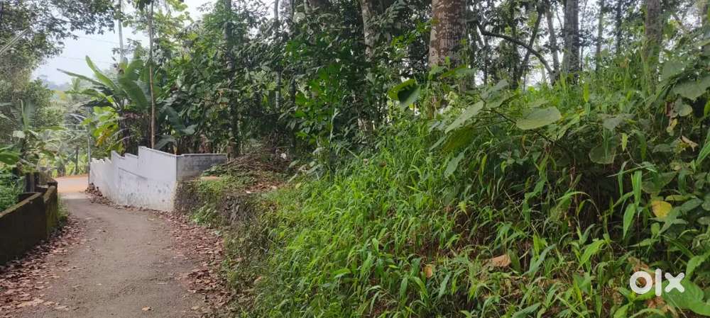 Land for sale in Ettumanoor cheruvandoor