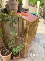 Bird/Dog Nest